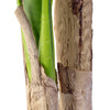 GloboStar® Artificial Garden BANANA TREE 20017 Τεχνητό Διακοσμητικό Φυτό Μπανανιά - Μπανανόδεντρο Υ180cm