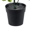 GloboStar® Artificial Garden ANUBIA BARTERI 20390 Τεχνητό Διακοσμητικό Φυτό Ανούμπια Υ30cm