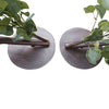 GloboStar® Artificial Garden EYCALYPTUS CINEREA ARCH 20434 Τεχνητή Διακοσμητική Αψίδα Ευκάλυπτου Μ250cm x Υ250cm