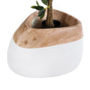 GloboStar® Artificial Garden PANDORA 20705 Επιδαπέδιο Πολυεστερικό Τσιμεντένιο Κασπώ Γλάστρα - Flower Pot Λευκό με Καφέ Μ60 x Π55 x Υ43cm