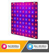 50W Full Spectrum Led Ανάπτυξης Φυτων Κόκκινο Μπλε Μωβ AC 85-265V-IP44