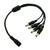 Feme Connector σε 4x Male Connector 5.5*2.1 GloboStar 77552