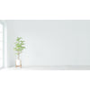 GloboStar® 80050 SONOFF SNZB-04-R3 – Zigbee Wireless Door/Window Security Sensor