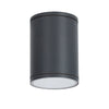 ^E27 PAR30  ROUND CEILING LUMINAIRE 230V AC DARK GREY IP65 MAX.35W