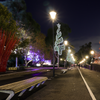 'CHRISTMAS TREE',270&200LED ΕΠΙΣT ΣΧΕΔ 7.5mΜΟΝΟΚ ΦΩΤ+ΛΑΜ ΣΕΙΡ,CW+ΠΡΑΣ ΣΤΑΘ,IP44,750x200CM,1.5m ΤΡ