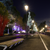 'CHRISTMAS TREE',270&200LED ΕΠΙΣT ΣΧΕΔ 7.5mΜΟΝΟΚ ΦΩΤ+ΛΑΜ ΣΕΙΡ,CW+ΠΡΑΣ ΣΤΑΘ,IP44,750x200CM,1.5m ΤΡ
