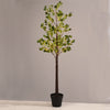 ^EUCALYPTUS LEAF TREE 240 WW LED ΛΑΜΠ. ΑΝΤΑΠΤ:4,5V IP44 ΥΨΟΣ 180cm ΓΛΑΣΤΡΑ 5m ΚΑΛ ^