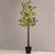 ^EUCALYPTUS LEAF TREE 240 WW LED ΛΑΜΠ. ΑΝΤΑΠΤ:4,5V IP44 ΥΨΟΣ 180cm ΓΛΑΣΤΡΑ 5m ΚΑΛ ^