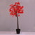 ^SUGAR MAPLE TREE 72 WW LED ΛΑΜΠ. ΑΝΤΑΠΤ:4,5V IP44 ΥΨΟΣ 150cm ΓΛΑΣΤΡΑ 5m ΚΑΛ ^