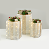 ^ SET 'WHITE&SILVER GIFT BOX,CHAMPAGN GOLD BOW' 90(20+30+40) WW MINILED ΜΠΑΤ.3*3ΑΑ IP20 30,36,41CM