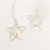 ^ 'METAL STARS' 10LED ΛΑΜΠΑΚ ΣΕΙΡΑ ΜΠΑΤΑΡ.(3xAA)ΘΕΡΜΟ ΛΕΥΚΟ ΑΣΗΜΙ ΜΕΤΑΛΛΟ IP20 135+30cm ΔΙΑΦΑΝ ΚΑΛΩ
