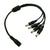 Feme Connector σε 4x Male Connector 5.5*2.1  77552
