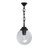 GLOBE 250 GARDEN HANGING LAMP 1XE27 IP55 BLACK