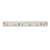 LED STRIP 5M 6W/M 24V DC IP65 BLUE