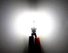 W5W-T10 Canbus Led Λαμπα Αυτοκινήτου- 24SMD 3030-5 watt-600lumens-12Volt Πολύ Φωτεινά-Μπλε & 6000K - ecoinn.gr